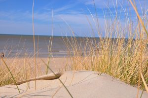 Plage de Bray Dunes